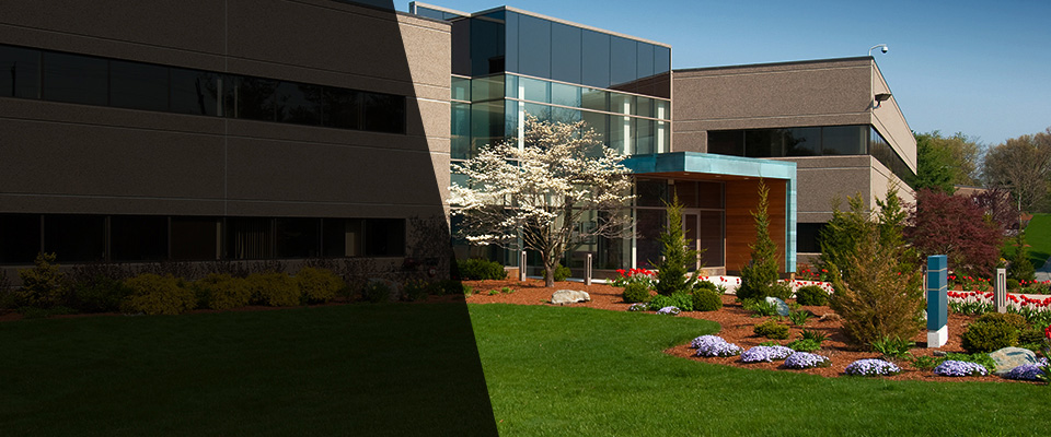 Center Moriches Landscapers