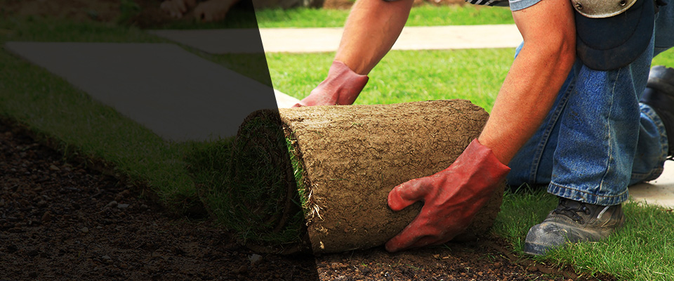 Center Moriches Landscapers